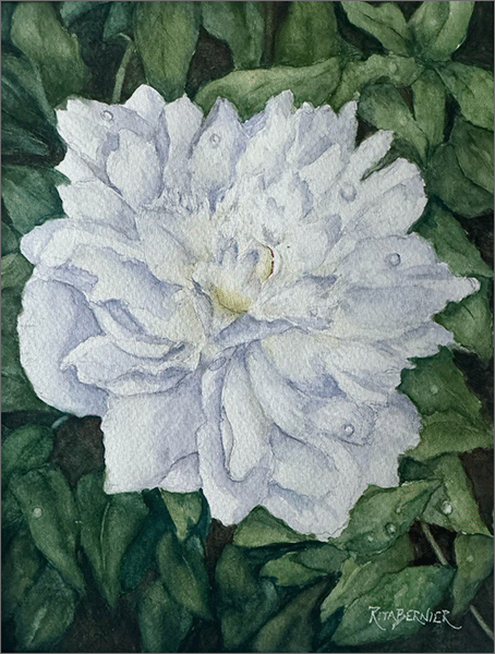 In Full Bloom <br> $325