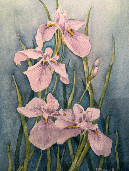 Reaching High<br> $275