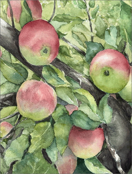 Ready for Picking<br> $275